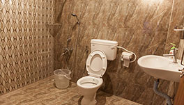 Petra Family Guest House, Valparai- Deluxe Room Bathroom-1